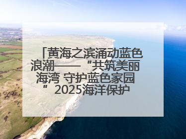 黄海之滨涌动蓝色浪潮——“共筑美丽海湾 守护蓝色家园”2025海洋保护净滩活动暨“美丽江苏—江河湖海青蓝行”海洋篇在连云港举行
