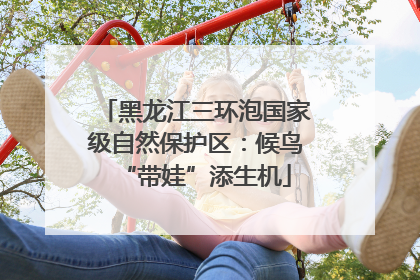黑龙江三环泡国家级自然保护区：候鸟“带娃”添生机