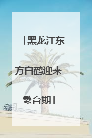黑龙江东方白鹳迎来繁育期