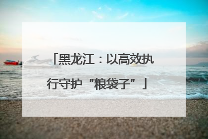 黑龙江：以高效执行守护“粮袋子”