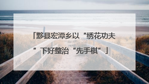 黟县宏潭乡以“绣花功夫”下好整治“先手棋”