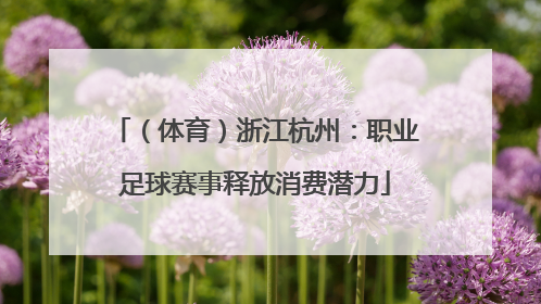 （体育）浙江杭州：职业足球赛事释放消费潜力
