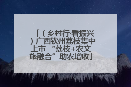 （乡村行·看振兴）广西钦州荔枝集中上市 “荔枝+农文旅融合”助农增收
