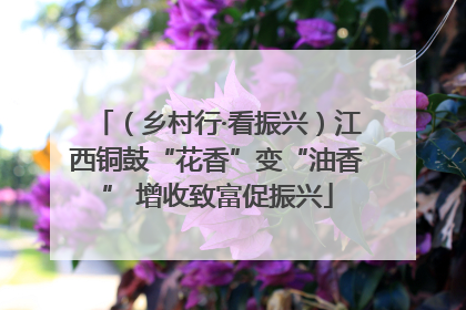 （乡村行·看振兴）江西铜鼓“花香”变“油香” 增收致富促振兴
