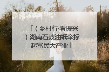 （乡村行·看振兴）湖南石鼓油纸伞撑起富民大产业