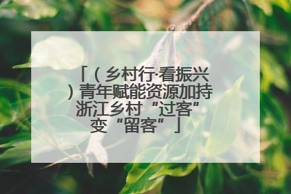 （乡村行·看振兴）青年赋能资源加持 浙江乡村“过客”变“留客”