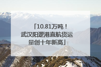 10.81万吨！武汉阳逻港直航货运量创十年新高