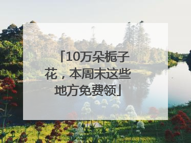 10万朵栀子花，本周末这些地方免费领