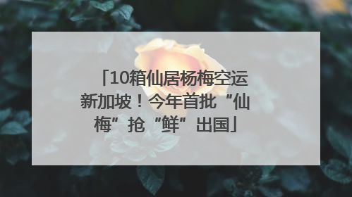 10箱仙居杨梅空运新加坡！今年首批“仙梅”抢“鲜”出国