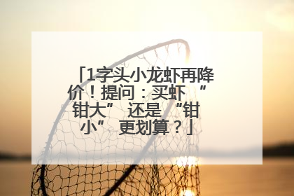1字头小龙虾再降价！提问：买虾 “钳大” 还是 “钳小” 更划算？