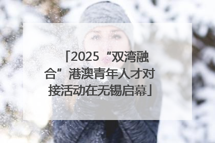 2025“双湾融合”港澳青年人才对接活动在无锡启幕