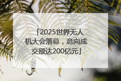2025世界无人机大会落幕，意向成交额达200亿元