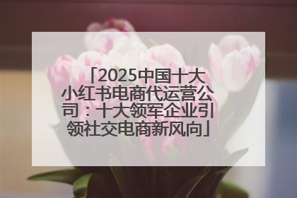 2025中国十大小红书电商代运营公司：十大领军企业引领社交电商新风向