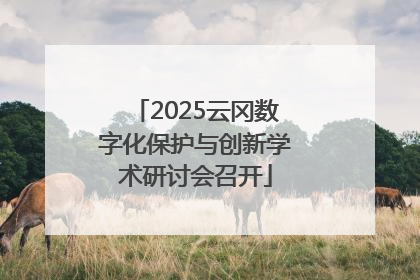 2025云冈数字化保护与创新学术研讨会召开