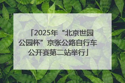 2025年“北京世园公园杯”京张公路自行车公开赛第二站举行