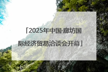 2025年中国·廊坊国际经济贸易洽谈会开幕