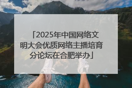 2025年中国网络文明大会优质网络主播培育分论坛在合肥举办
