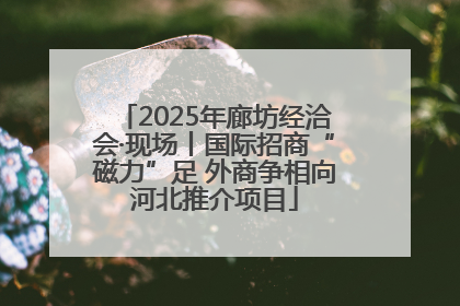 2025年廊坊经洽会·现场丨国际招商“磁力”足 外商争相向河北推介项目