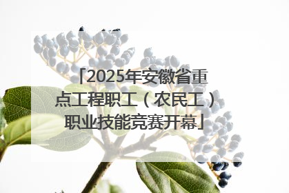 2025年安徽省重点工程职工（农民工）职业技能竞赛开幕