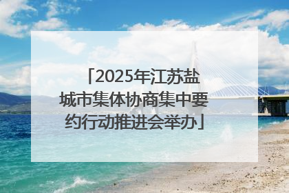 2025年江苏盐城市集体协商集中要约行动推进会举办