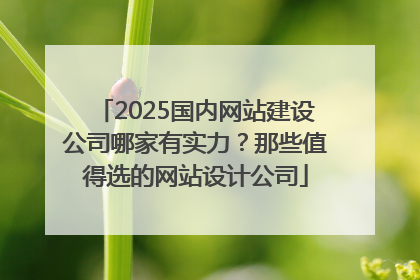 2025国内网站建设公司哪家有实力？那些值得选的网站设计公司