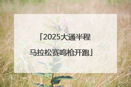 2025大通半程马拉松赛鸣枪开跑
