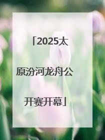 2025太原汾河龙舟公开赛开幕