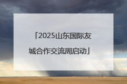 2025山东国际友城合作交流周启动