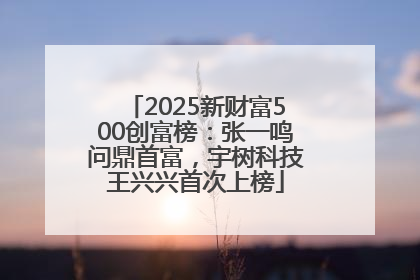 2025新财富500创富榜：张一鸣问鼎首富，宇树科技王兴兴首次上榜