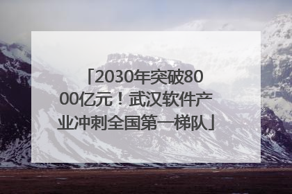 2030年突破8000亿元！武汉软件产业冲刺全国第一梯队