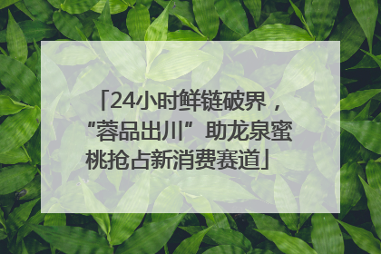 24小时鲜链破界，“蓉品出川”助龙泉蜜桃抢占新消费赛道