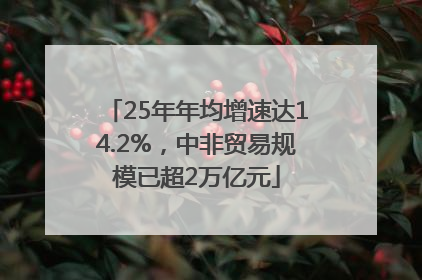 25年年均增速达14.2%，中非贸易规模已超2万亿元