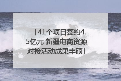 41个项目签约4.5亿元 新疆电商资源对接活动成果丰硕