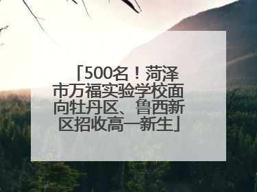 500名！菏泽市万福实验学校面向牡丹区、鲁西新区招收高一新生