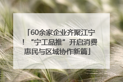 60余家企业齐聚江宁！“宁工品推”开启消费惠民与区域协作新篇