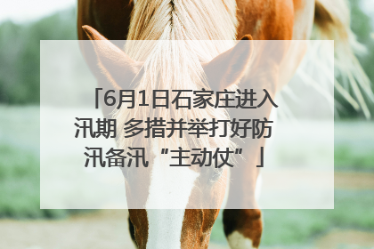 6月1日石家庄进入汛期 多措并举打好防汛备汛“主动仗”