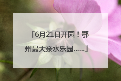 6月21日开园！鄂州最大亲水乐园……