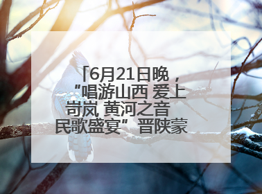 6月21日晚，“唱游山西 爱上岢岚 黄河之音 民歌盛宴”晋陕蒙民歌汇在国家AAA级景区——岢岚宋长城精彩上演