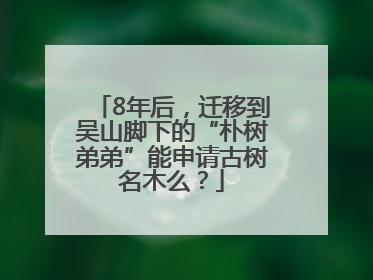8年后，迁移到吴山脚下的“朴树弟弟”能申请古树名木么？