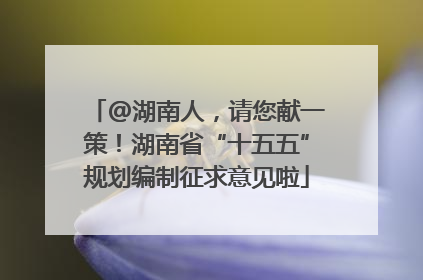 @湖南人，请您献一策！湖南省“十五五”规划编制征求意见啦