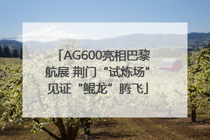 AG600亮相巴黎航展 荆门“试炼场”见证“鲲龙”腾飞