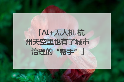 AI+无人机 杭州天空里也有了城市治理的“帮手”
