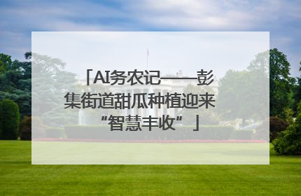 AI务农记——彭集街道甜瓜种植迎来“智慧丰收”