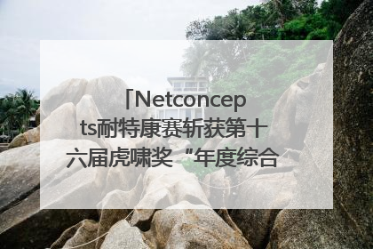 Netconcepts耐特康赛斩获第十六届虎啸奖“年度综合服务商”大奖