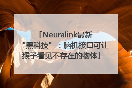 Neuralink最新“黑科技”：脑机接口可让猴子看见不存在的物体