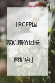 RCEP国家皖籍侨团联盟扩容