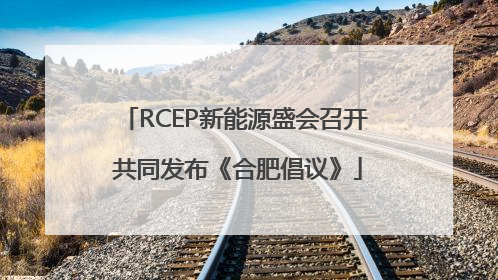 RCEP新能源盛会召开 共同发布《合肥倡议》