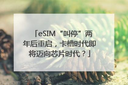 eSIM“叫停”两年后重启，卡槽时代即将迈向芯片时代？